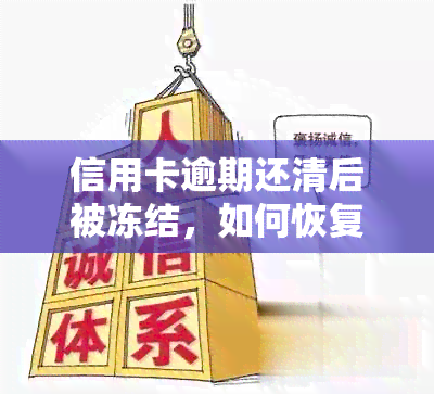 信用卡逾期还清后被冻结，如何恢复使用以及解决可能遇到的问题