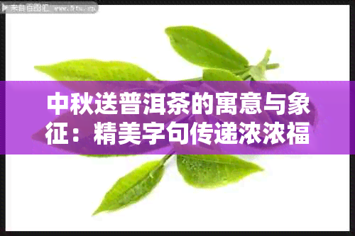 中秋送普洱茶的寓意与象征：精美字句传递浓浓福