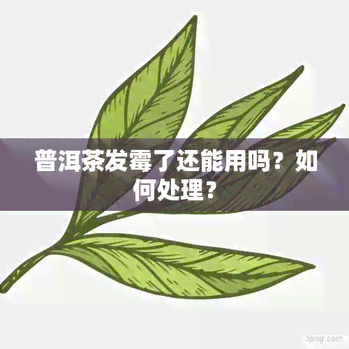 普洱茶发霉了还能用吗？如何处理？