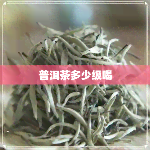 普洱茶多少级喝