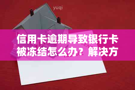 信用卡逾期导致银行卡被冻结怎么办？解决方法和预防措一文详解