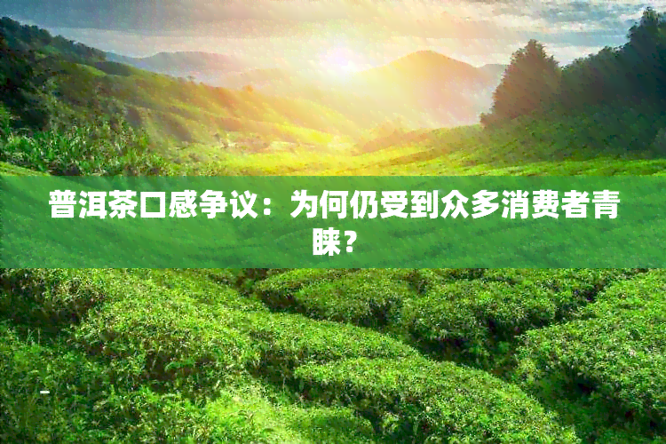 普洱茶口感争议：为何仍受到众多消费者青睐？