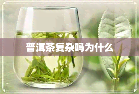 普洱茶复杂吗为什么