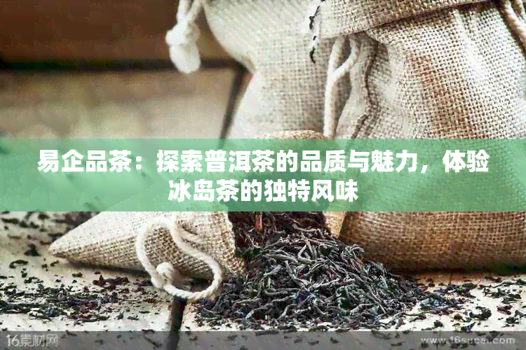 易企品茶：探索普洱茶的品质与魅力，体验冰岛茶的独特风味