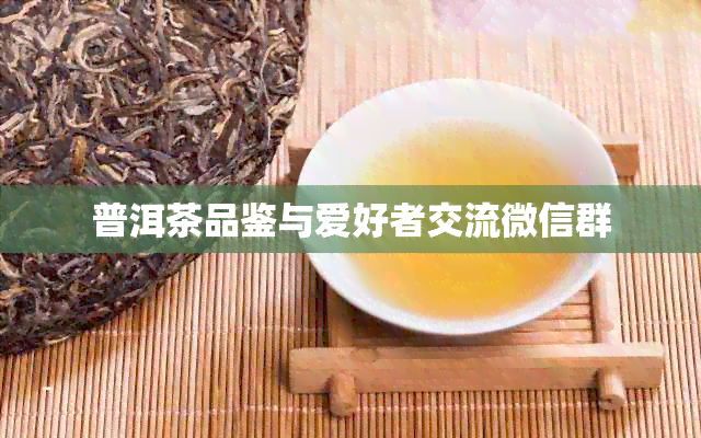 普洱茶品鉴与爱好者交流微信群