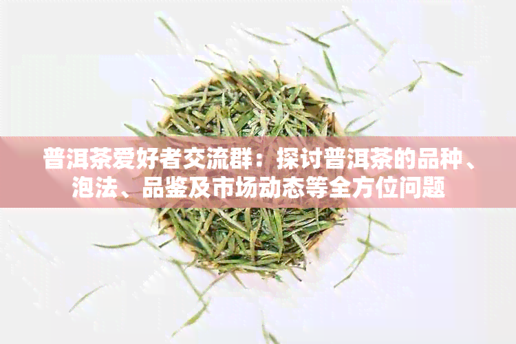 普洱茶爱好者交流群：探讨普洱茶的品种、泡法、品鉴及市场动态等全方位问题