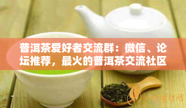 普洱茶爱好者交流群：微信、论坛推荐，最火的普洱茶交流社区！