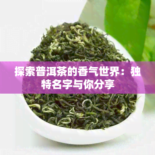 探索普洱茶的香气世界：独特名字与你分享