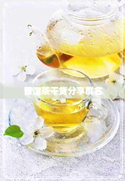 普洱茶干货分享群名