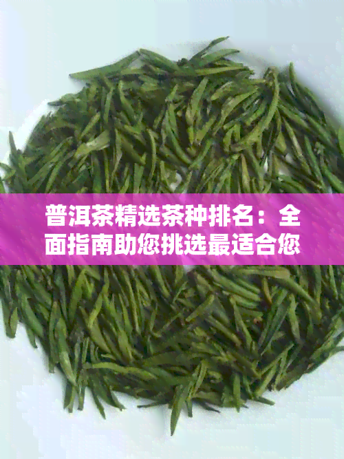 普洱茶精选茶种排名：全面指南助您挑选最适合您的普洱茶