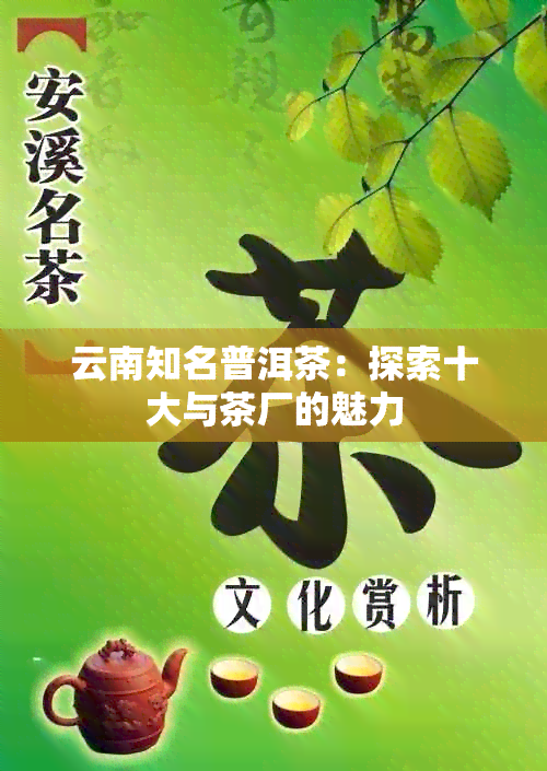 云南知名普洱茶：探索十大与茶厂的魅力