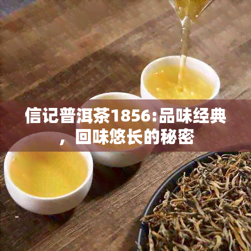 信记普洱茶1856:品味经典，回味悠长的秘密