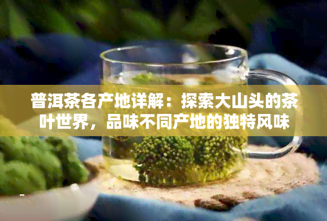 普洱茶各产地详解：探索大山头的茶叶世界，品味不同产地的独特风味