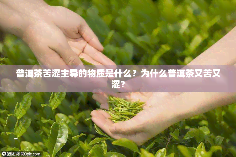 普洱茶苦涩主导的物质是什么？为什么普洱茶又苦又涩？