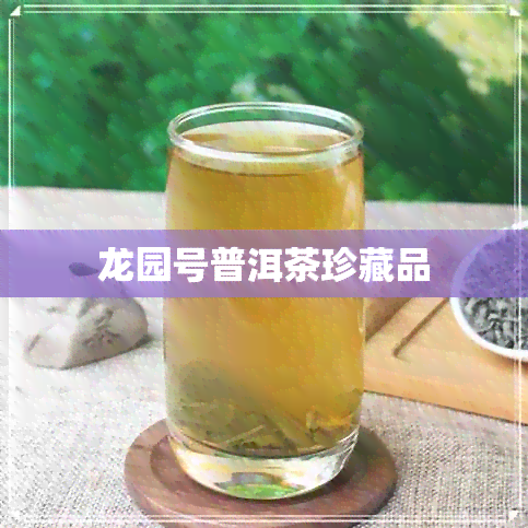 龙园号普洱茶珍藏品