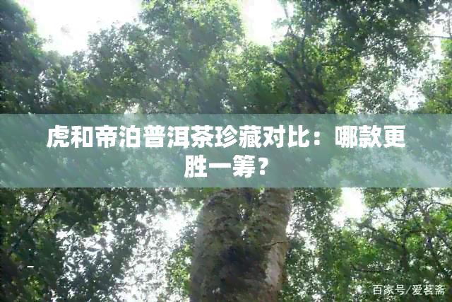 虎和帝泊普洱茶珍藏对比：哪款更胜一筹？