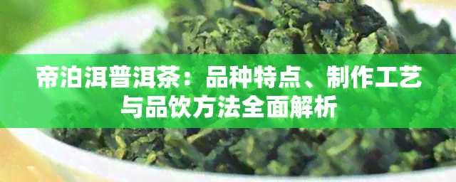 帝泊洱普洱茶：品种特点、制作工艺与品饮方法全面解析