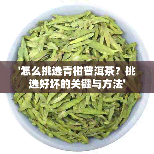 '怎么挑选青柑普洱茶？挑选好坏的关键与方法'