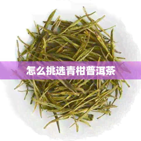 怎么挑选青柑普洱茶