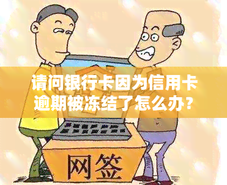 请问银行卡因为信用卡逾期被冻结了怎么办？