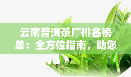 云南普洱茶厂排名榜单：全方位指南，助您轻松找到茶厂！