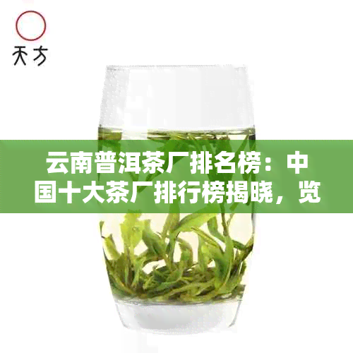 云南普洱茶厂排名榜：中国十大茶厂排行榜揭晓，览表一览无余