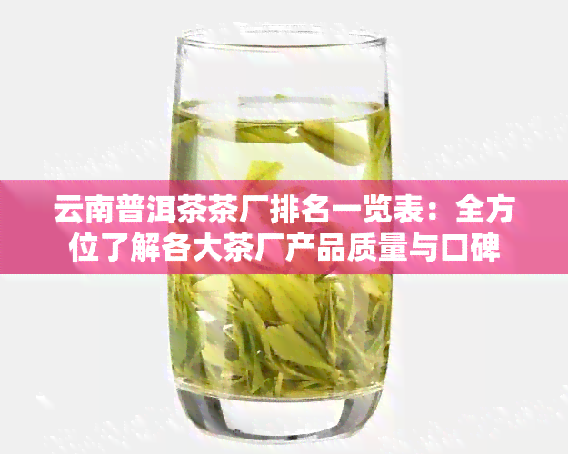 云南普洱茶茶厂排名一览表：全方位了解各大茶厂产品质量与口碑