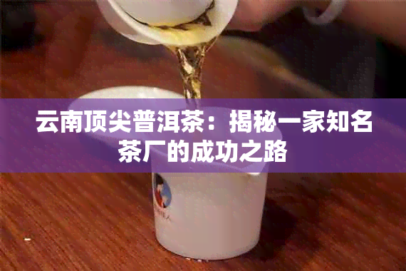 云南顶尖普洱茶：揭秘一家知名茶厂的成功之路