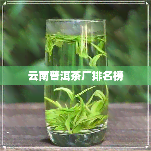 云南普洱茶厂排名榜