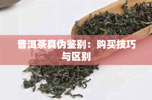 普洱茶真伪鉴别：购买技巧与区别