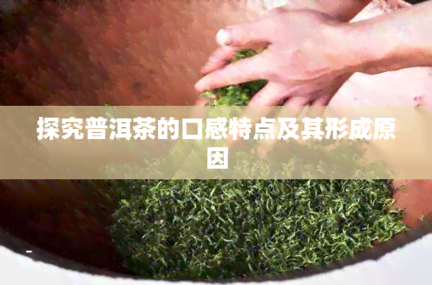 探究普洱茶的口感特点及其形成原因