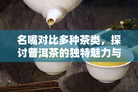 名嘴对比多种茶类，探讨普洱茶的独特魅力与口感之谜