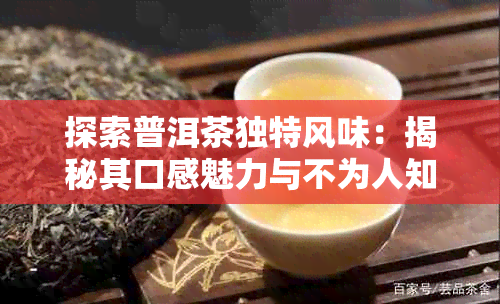 探索普洱茶独特风味：揭秘其口感魅力与不为人知的原因