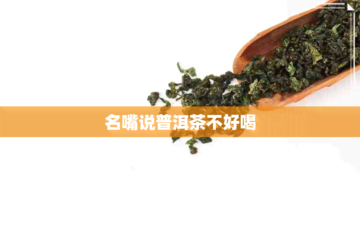 名嘴说普洱茶不好喝