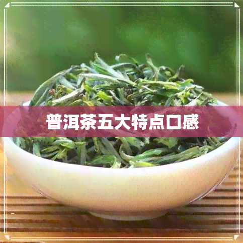 普洱茶五大特点口感