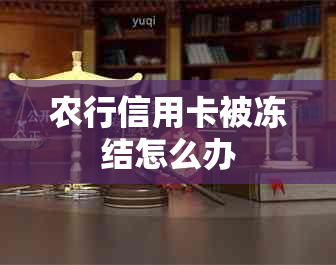 农行信用卡被冻结怎么办