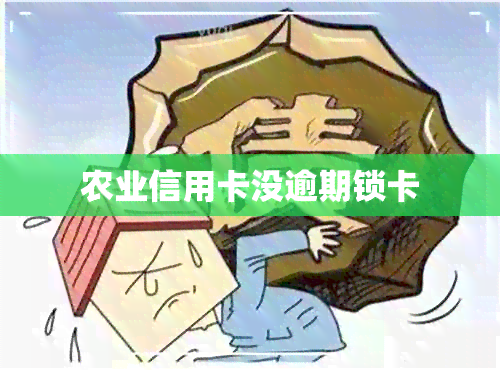 农业信用卡没逾期锁卡