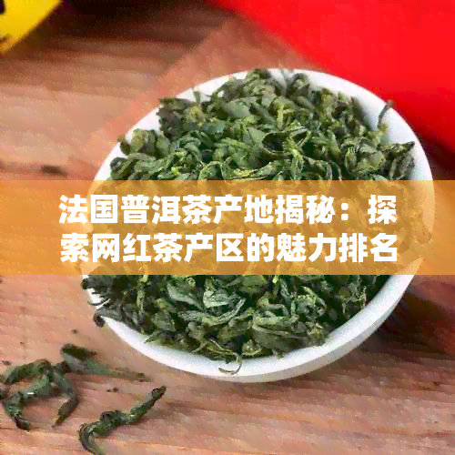 法国普洱茶产地揭秘：探索网红茶产区的魅力排名