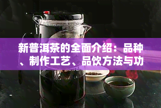 新普洱茶的全面介绍：品种、制作工艺、品饮方法与功效解析