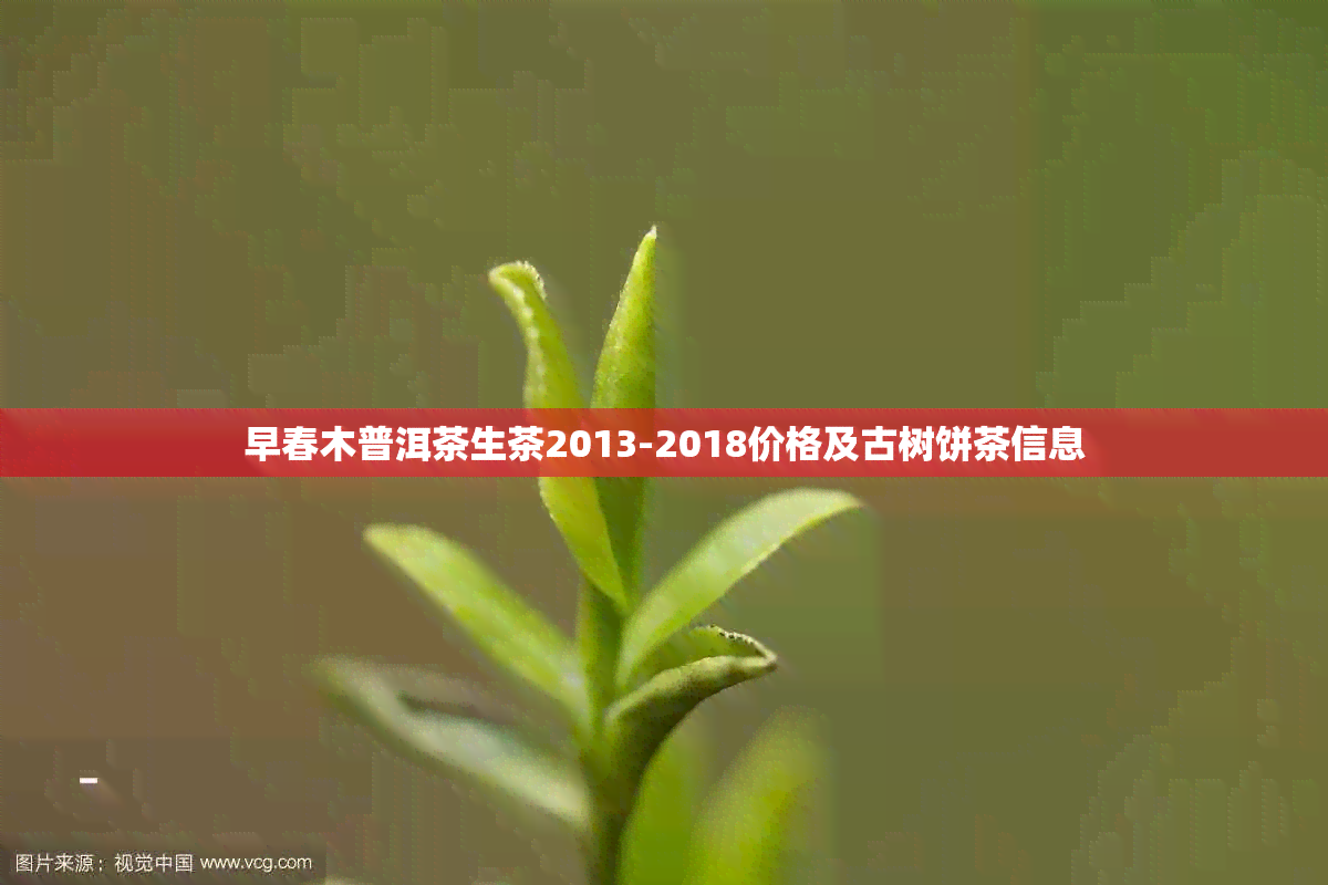 早春木普洱茶生茶2013-2018价格及古树饼茶信息