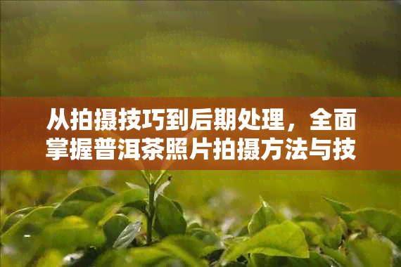 从拍摄技巧到后期处理，全面掌握普洱茶照片拍摄方法与技巧