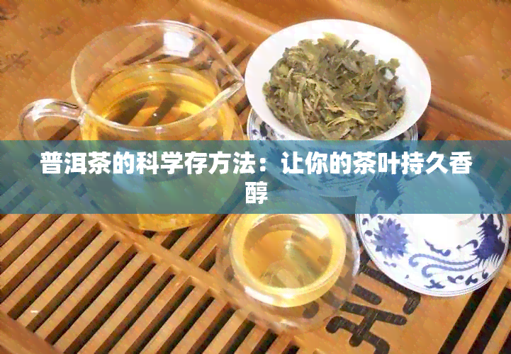 普洱茶的科学存方法：让你的茶叶持久香醇