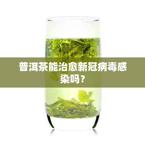 普洱茶能治愈病感染吗？