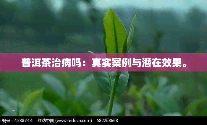 普洱茶治病吗：真实案例与潜在效果。