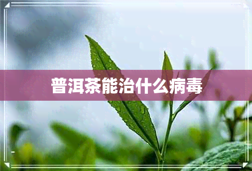 普洱茶能治什么病