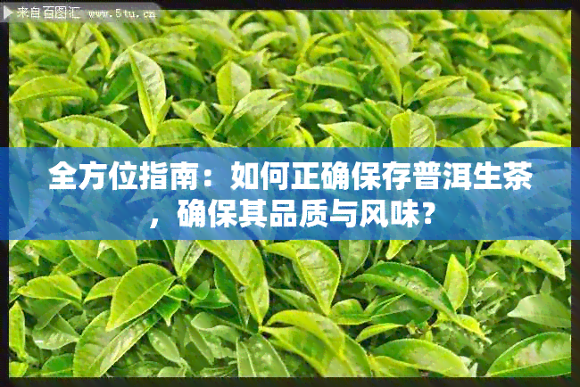 全方位指南：如何正确保存普洱生茶，确保其品质与风味？