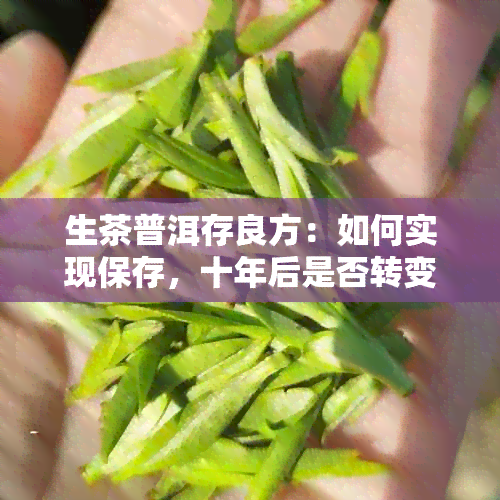 生茶普洱存良方：如何实现保存，十年后是否转变为熟茶