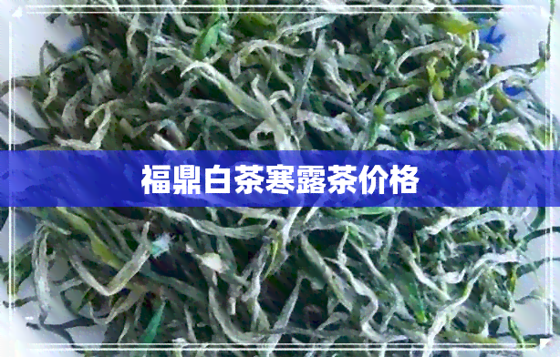 福鼎白茶寒露茶价格