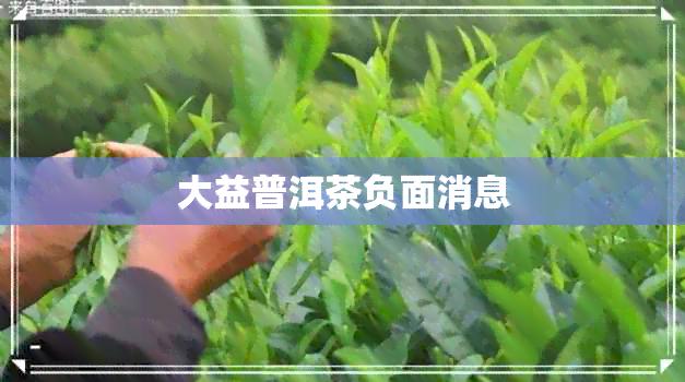 大益普洱茶负面消息