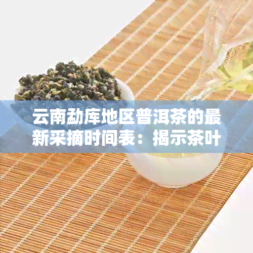 云南勐库地区普洱茶的最新采摘时间表：揭示茶叶活的关键时期